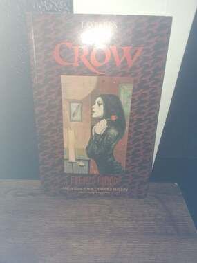 J. O'Barr's The Crow: Flesh & Blood Graphic Novel (Kitchen Sink Press, 1996)